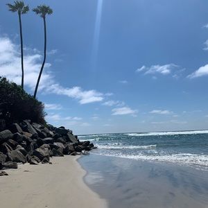 Meet your Posher, Jane